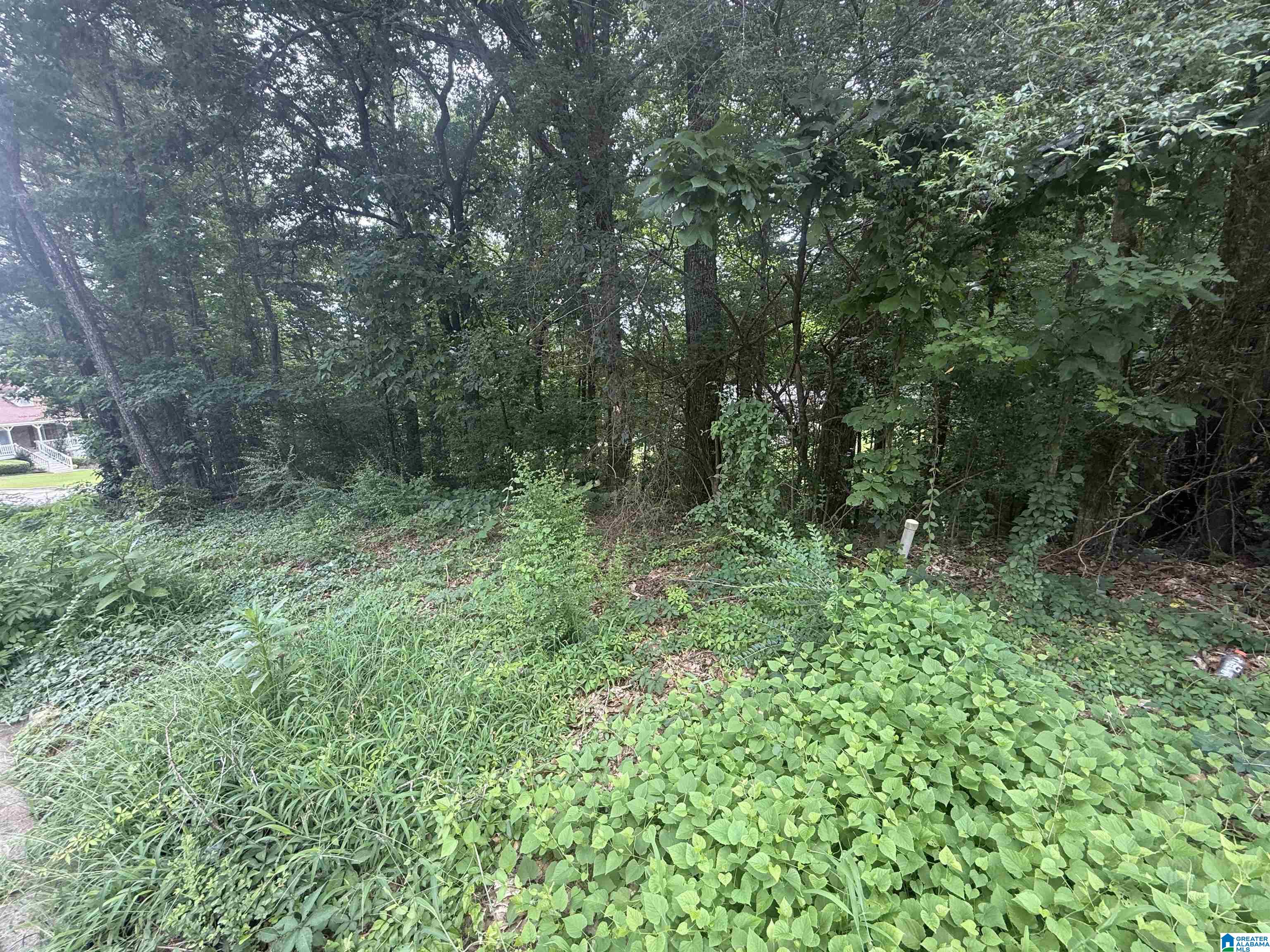 621 Woodbrook Road, Unit 62 Birmingham, AL 35215 - Photo 4 of 5