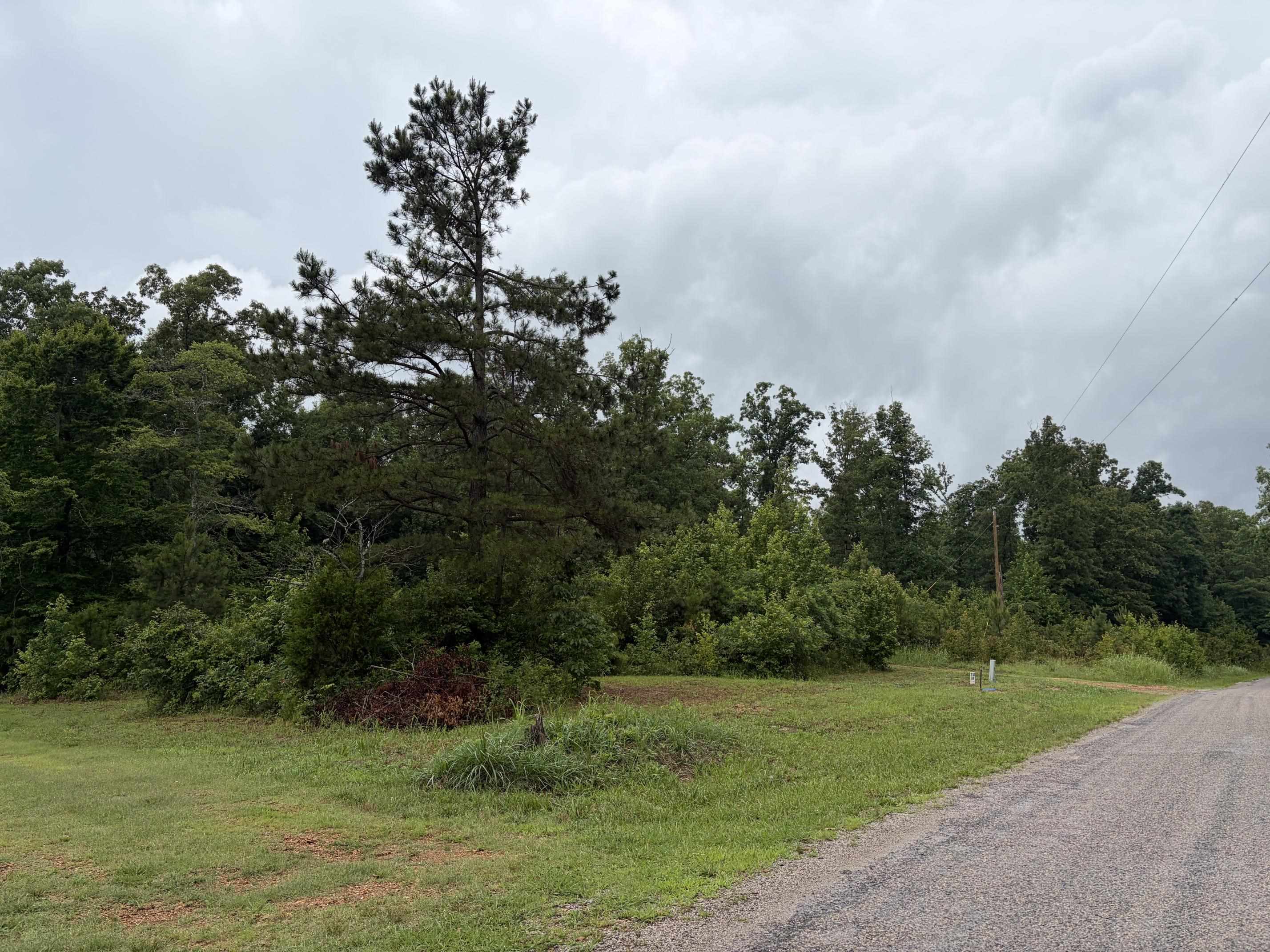 745 Foster Road Adamsville, TN 38310 - Photo 2 of 25 Gallery Image 2