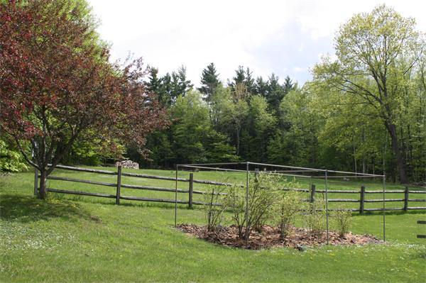 2101 Roaring Brook Road Conway, MA 01341 - Photo 5 of 30 Gallery Image 5