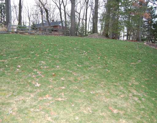 463 Woodland Road Pittsburgh, PA 15237 - Photo 15 of 15 Yard/Garden.