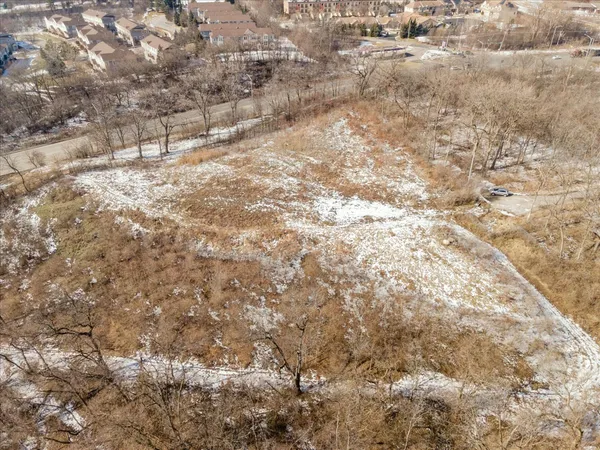 a view of a yard with a tree