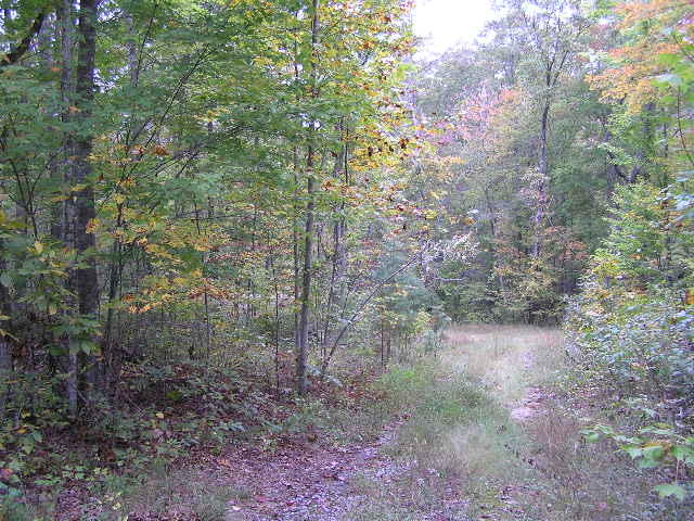 10 Turkey Ridge Road Graysville, TN 37338 - Photo 1 of 9 101012 001