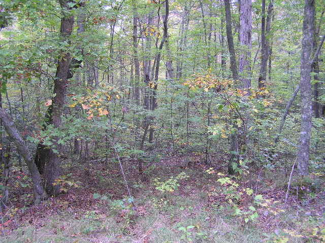10 Turkey Ridge Road Graysville, TN 37338 - Photo 4 of 9 101012 003