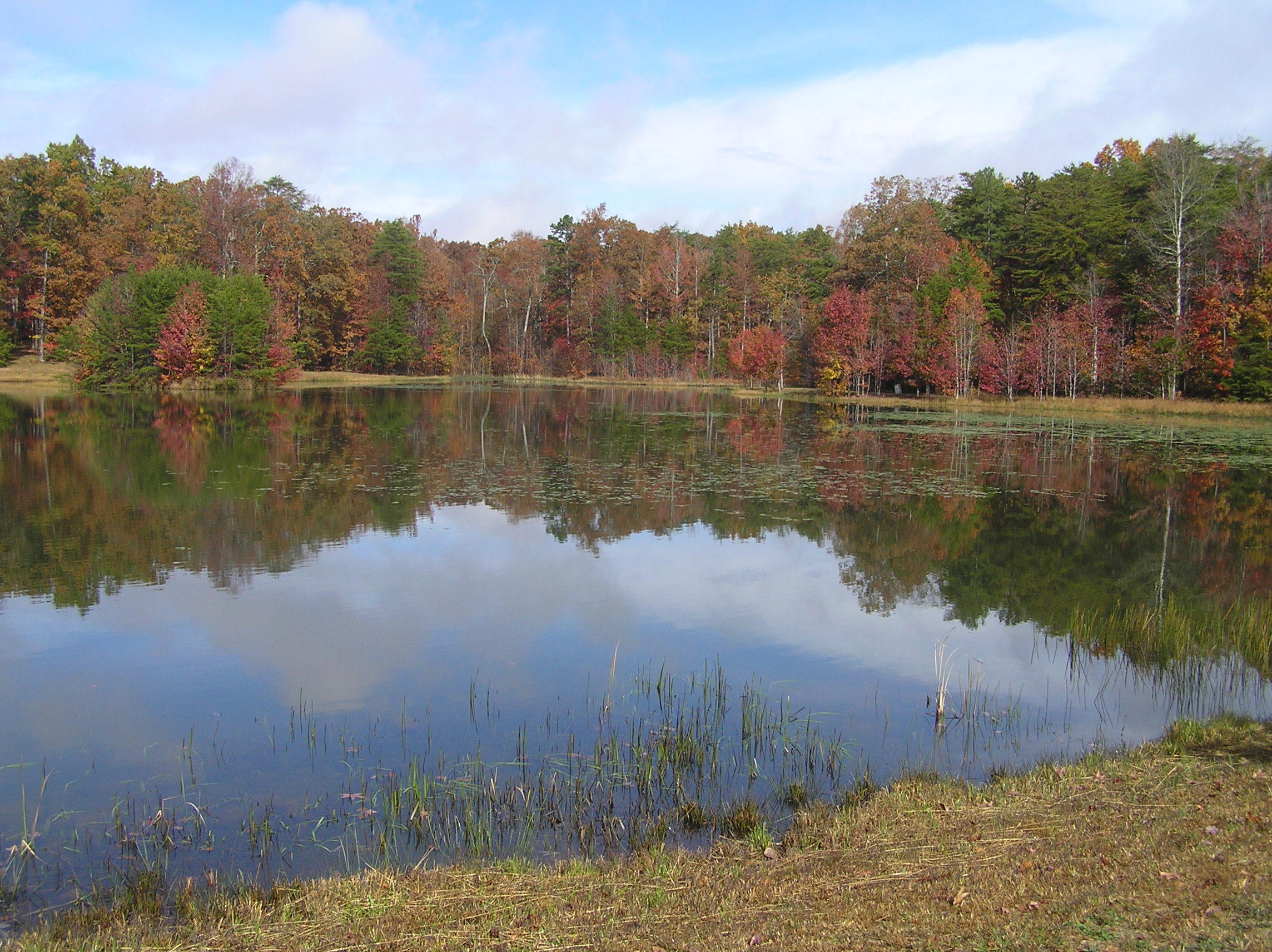 10 Turkey Ridge Road Graysville, TN 37338 - Photo 8 of 9 yr 005