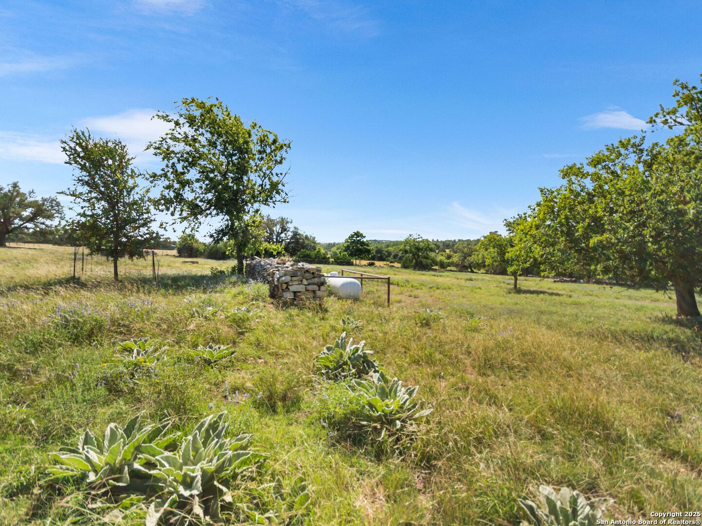 4369 Reeh-Weinheimer Road Fredericksburg, TX 78624 - Photo 61 of 80