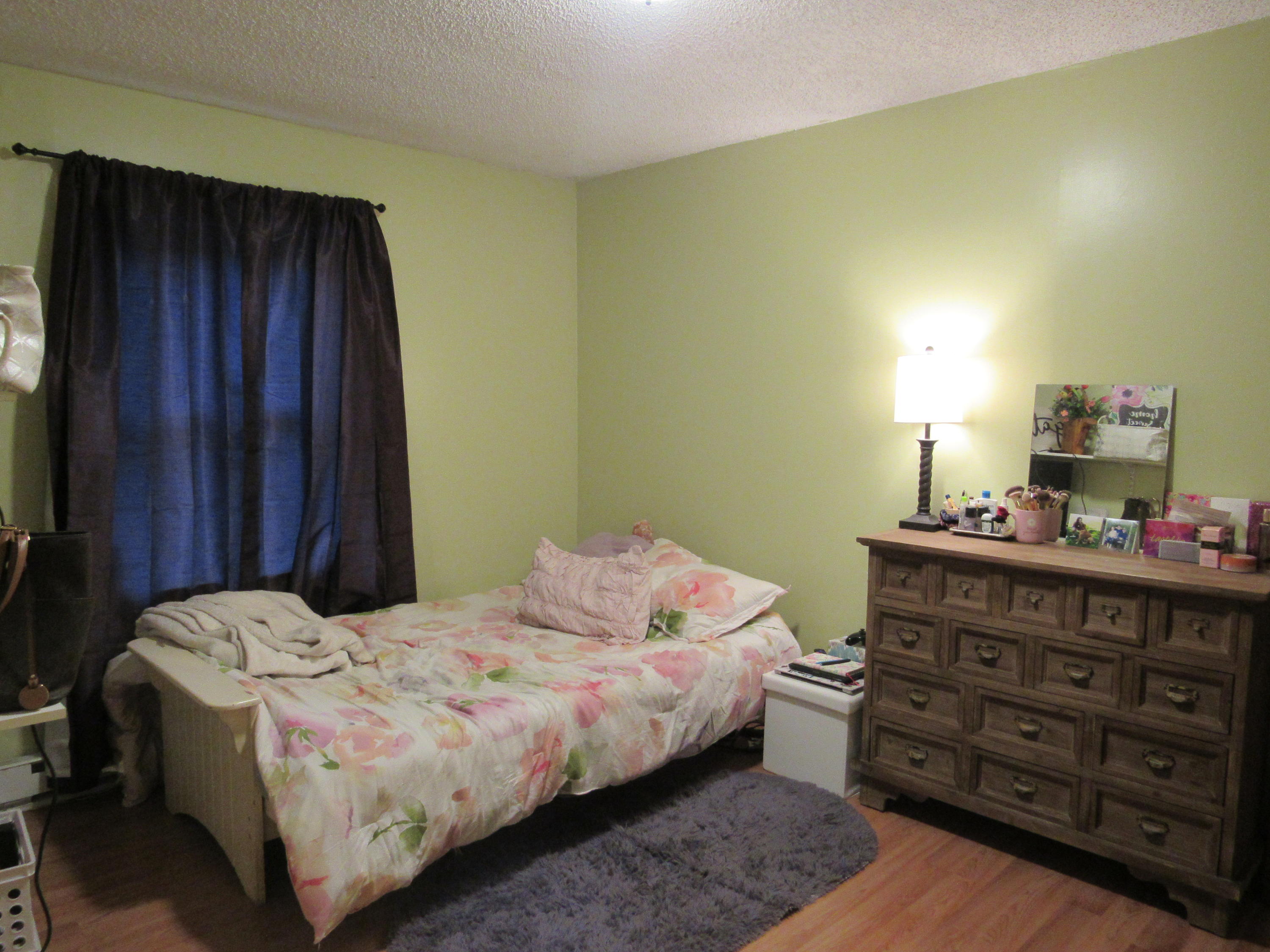 784 Bellsqueeze Road Clinton, ME 04927 - Photo 9 of 13 IMG_2217