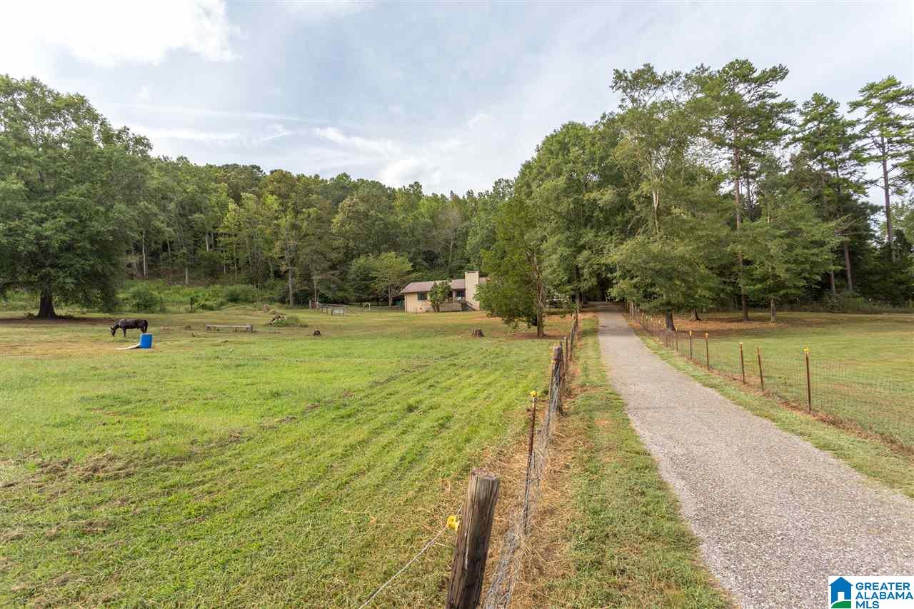 975 Refuge Road Ragland, AL 35131 - Photo 39 of 42