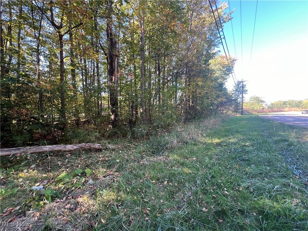8625 Bainbridge Road Chagrin Falls, OH 44023 - Photo 19 of 20 View of yard