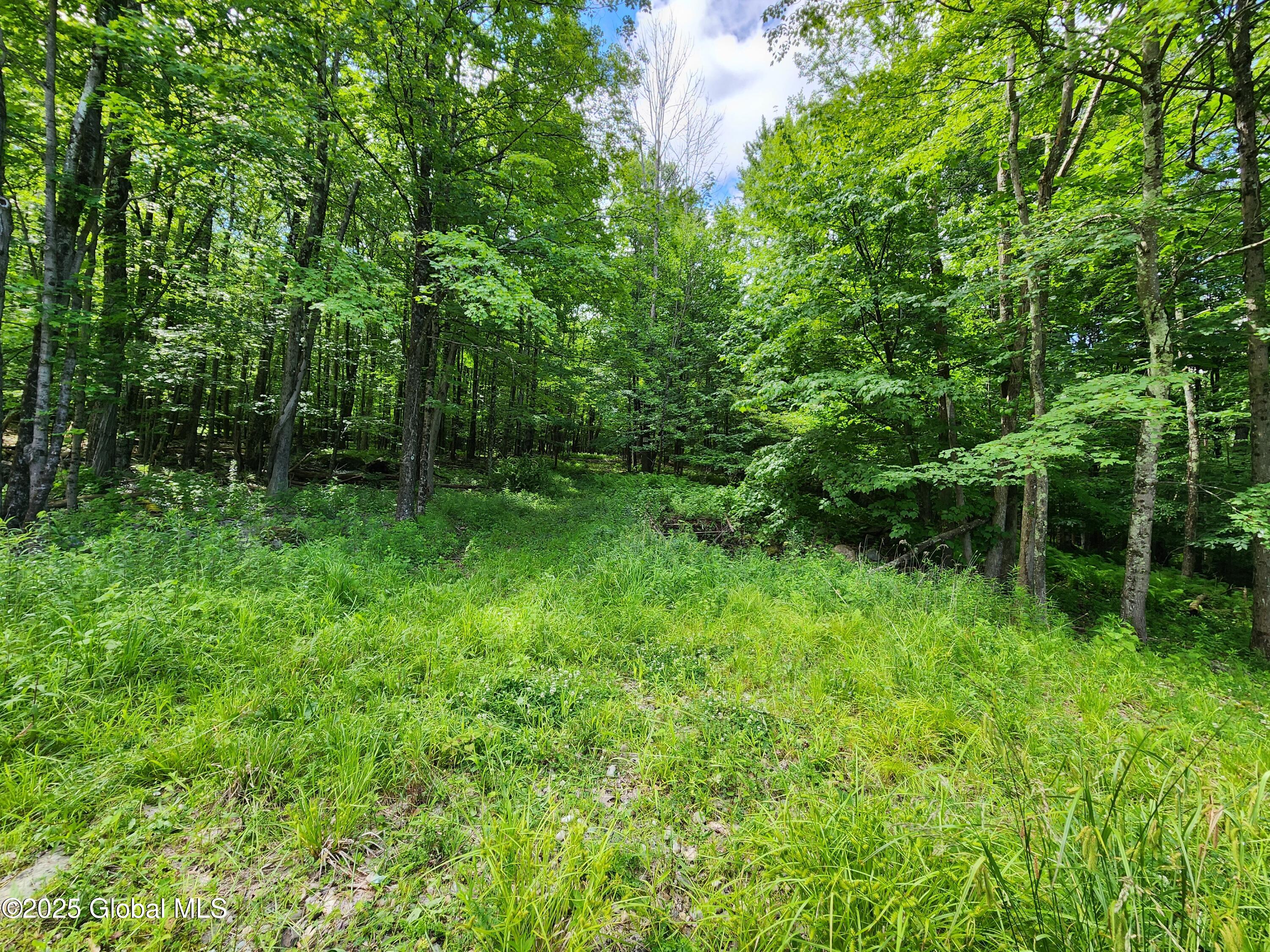 140 Roaser Road Sand Lake, NY 12153 - Photo 29 of 35 20250629_104806