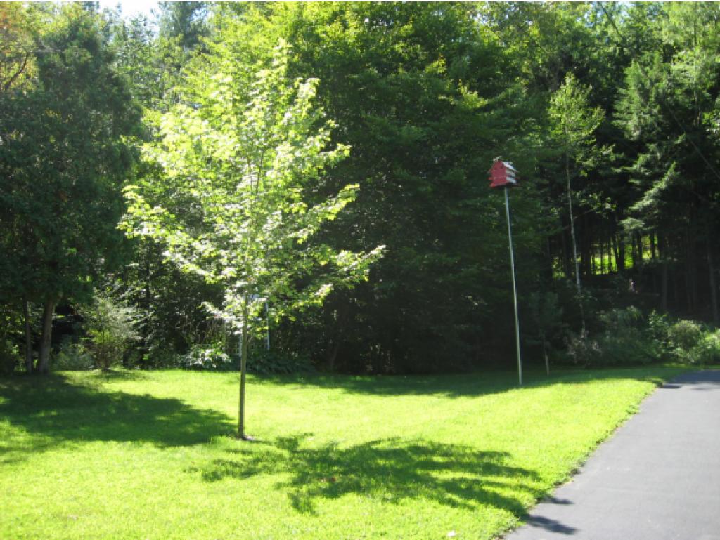 33 Ledgewood Road Claremont, NH 03743 - Photo 7 of 27 Gallery Image 7