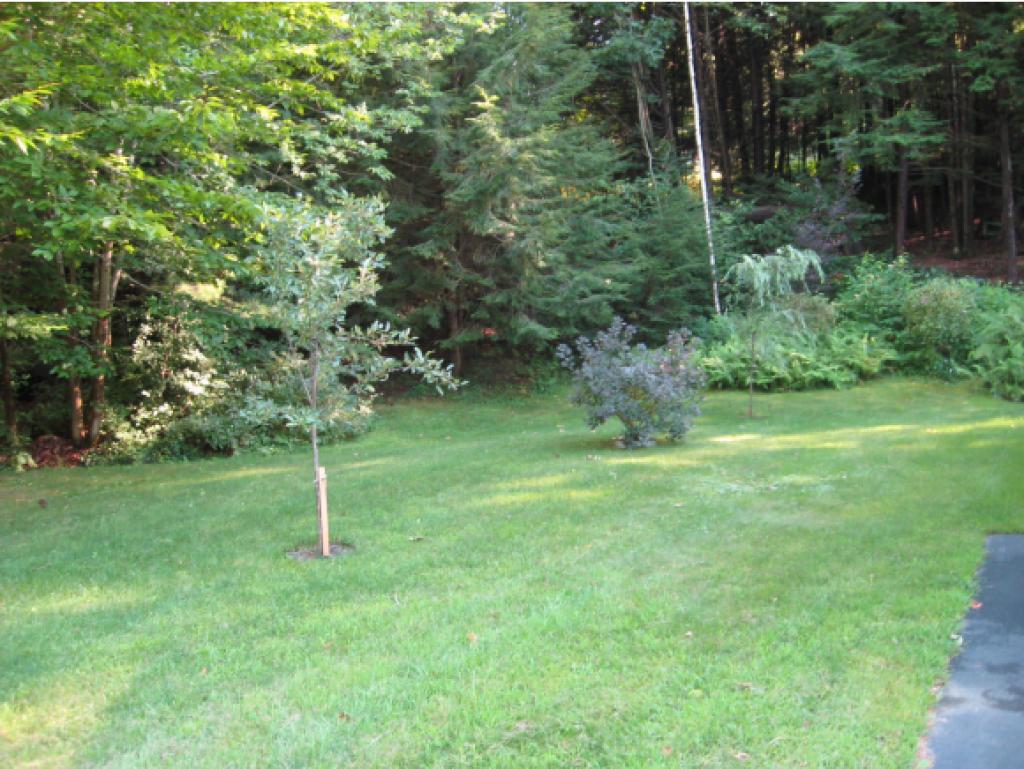 33 Ledgewood Road Claremont, NH 03743 - Photo 8 of 27 Gallery Image 8