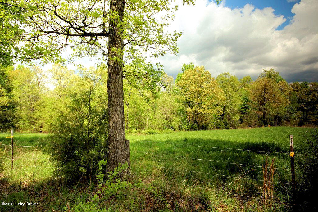 6421 Grancer Road Morgantown, KY 42261 - Photo 7 of 28 81 1 Lacefield Auction