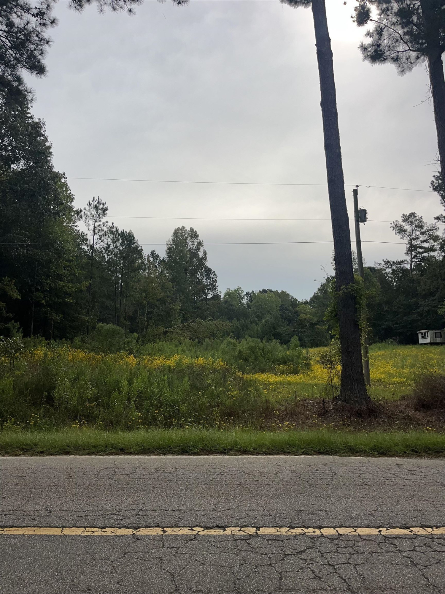 780 Richardson Road Zebulon, NC 27597 - Photo 3 of 6 a view of a yard with a sink