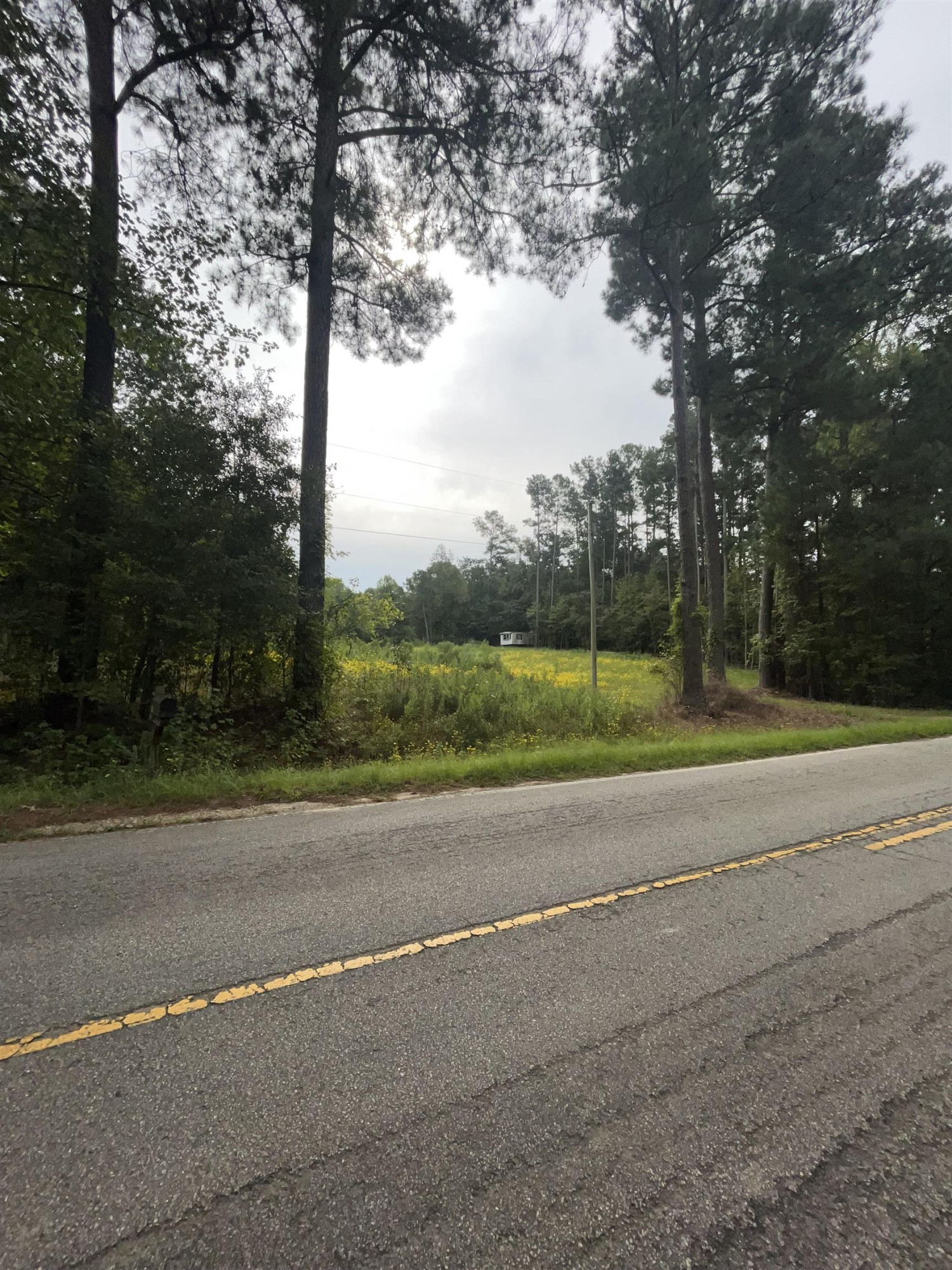 780 Richardson Road Zebulon, NC 27597 - Photo 4 of 6 a view of a yard