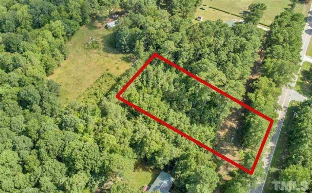 780 Richardson Road Zebulon, NC 27597 - Photo 6 of 6 a close up of a lush green forest with large trees and buildings