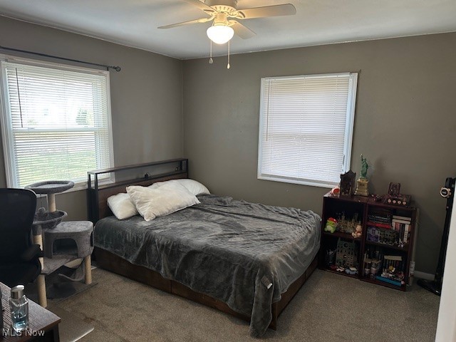 2194 North Santom Road Stow, OH 44224 - Photo 15 of 29 Largest bedroom