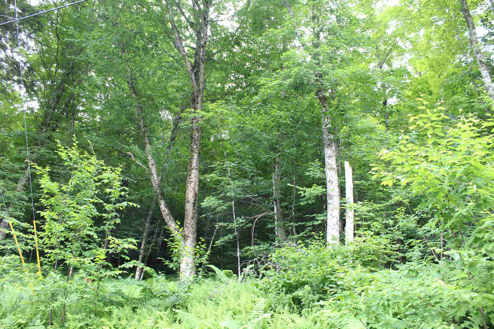 0 Vt Rt 100a Plymouth, VT 05056 - Photo 5 of 14 Gallery Image 5