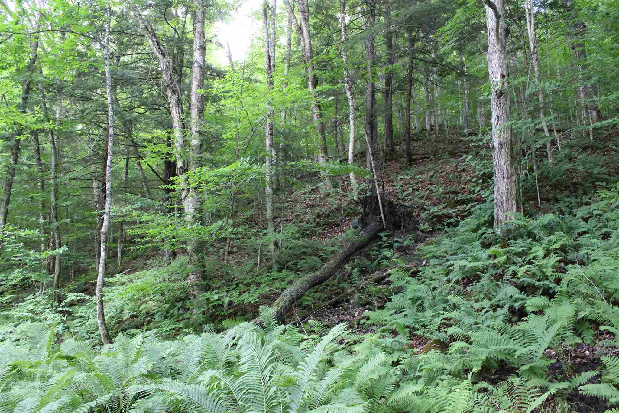 0 Vt Rt 100a Plymouth, VT 05056 - Photo 8 of 14 Gallery Image 8