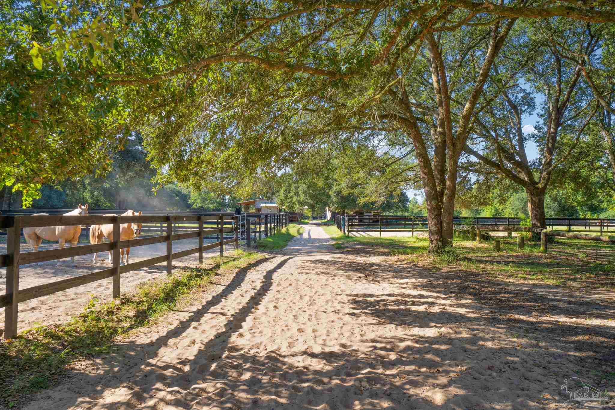 1911 Mathison Road Cantonment, FL 32533 - Photo 36 of 66 Gallery Image 36