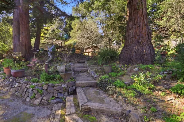 a backyard of a house with lots of green space