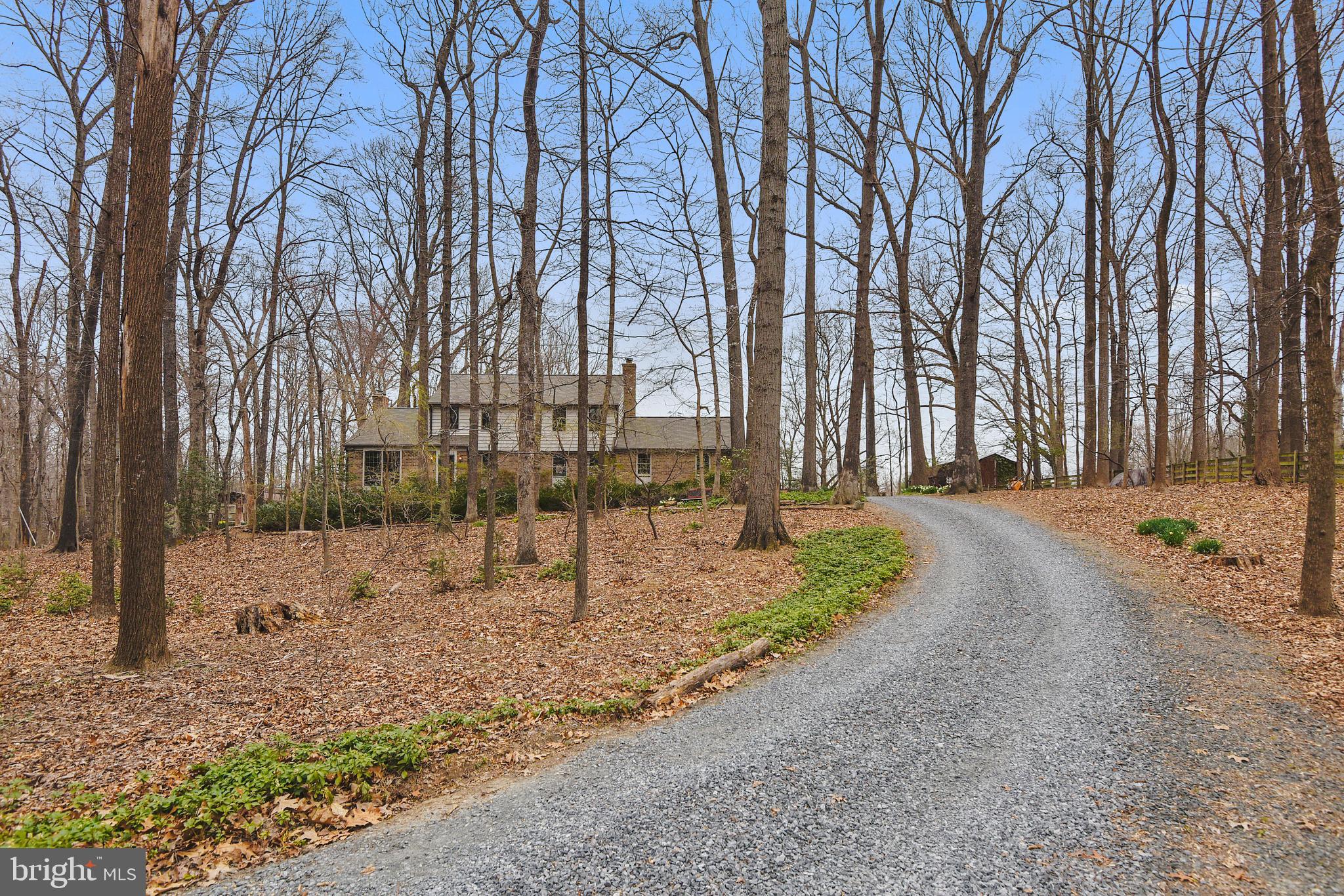 17717 Pond Road Ashton, MD 20861 - Photo 47 of 51 Long driveway to two car garage