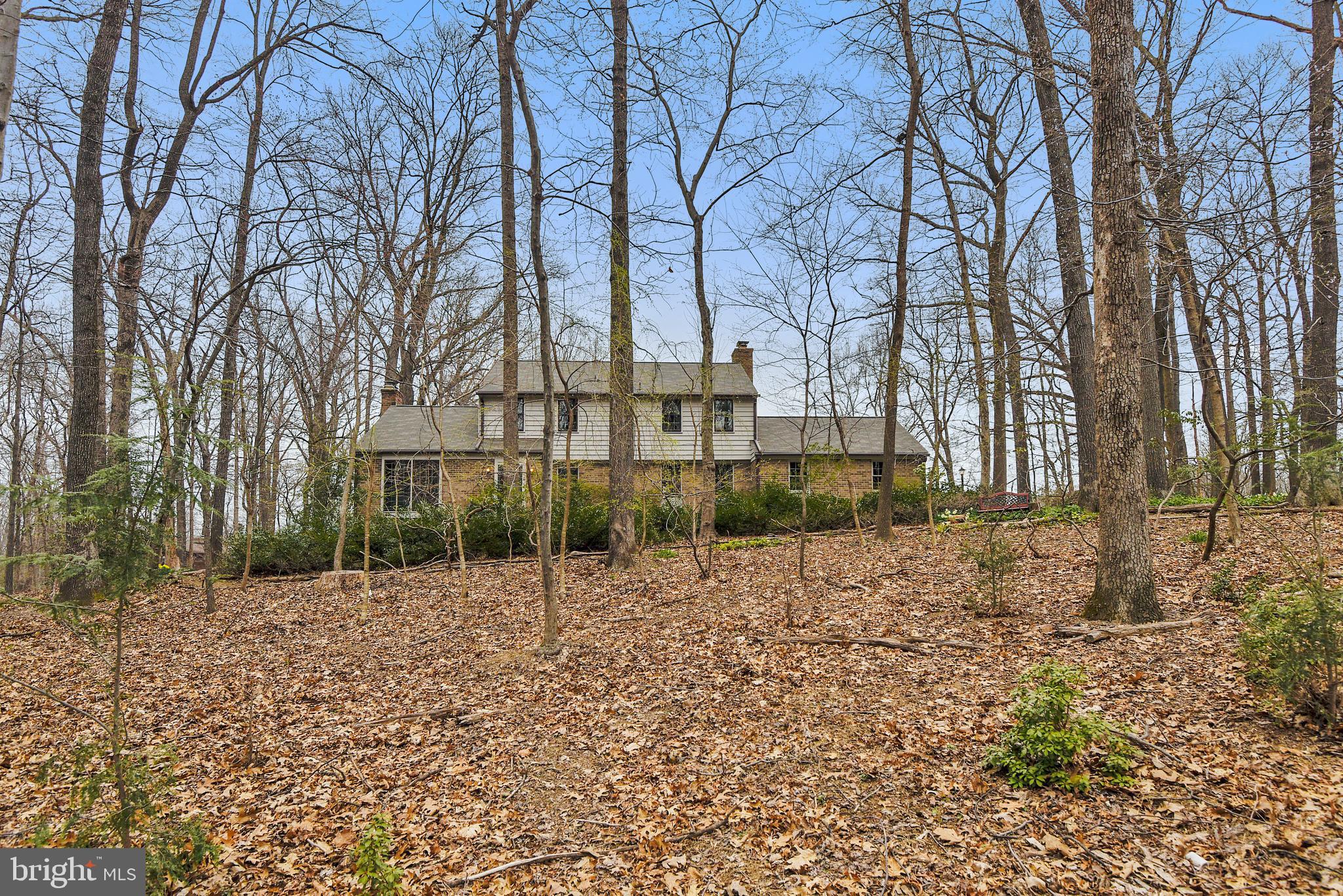 17717 Pond Road Ashton, MD 20861 - Photo 51 of 51 Front yard overlooking trees