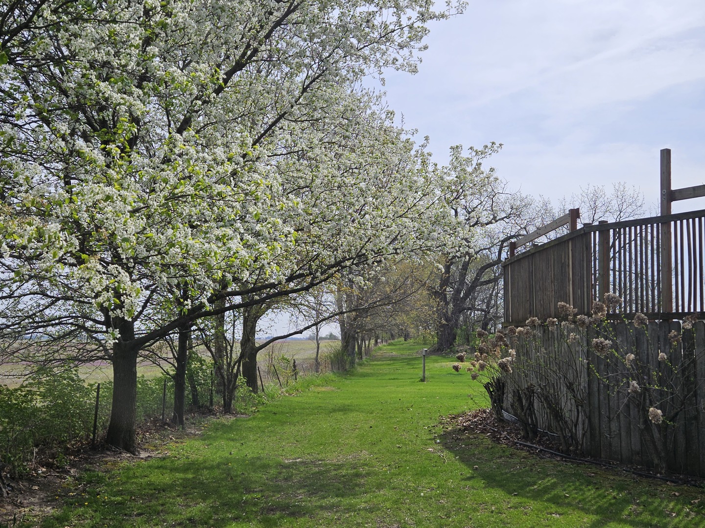531 South Hieland Road St. Anne, IL 60964 - Photo 31 of 45 a view of a backyard