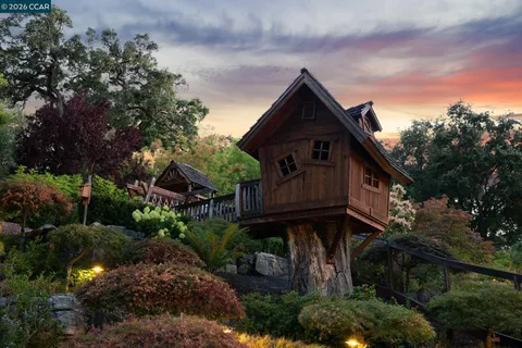 a view of a house with a small yard plants and large tree