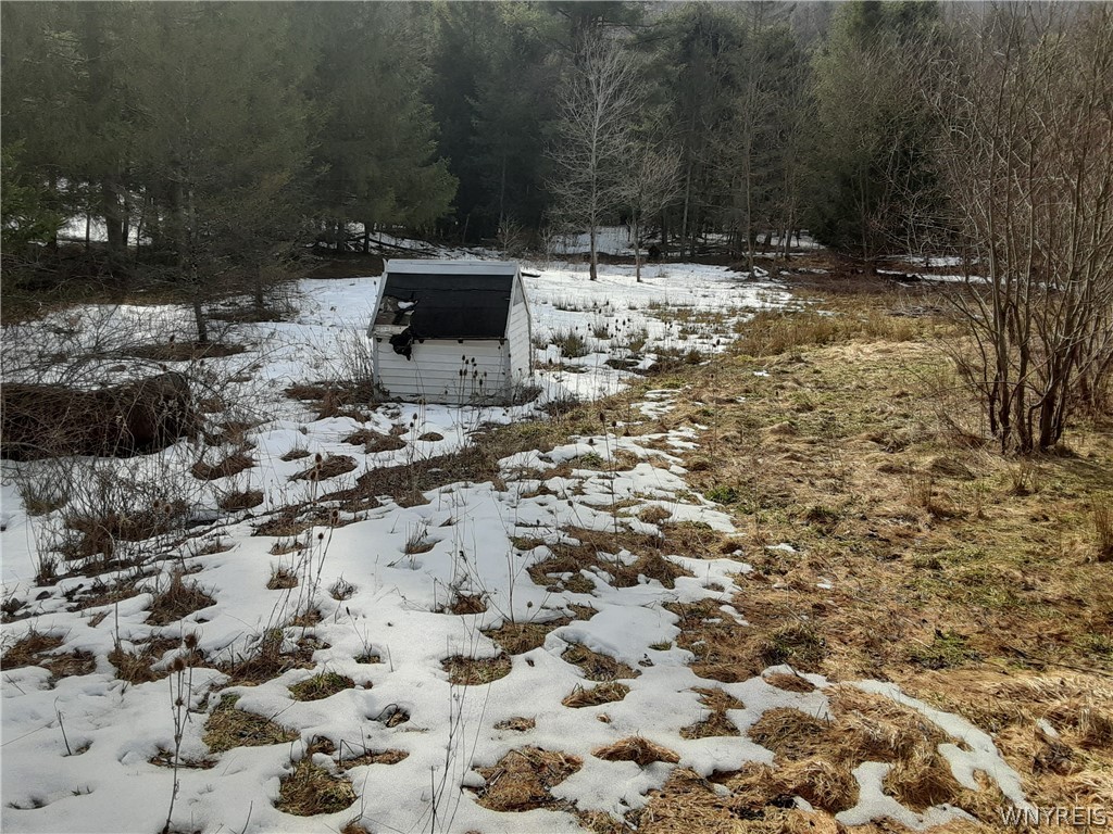 Lot A Porter Hollow Road Great Valley, NY 14741 - Photo 13 of 13
