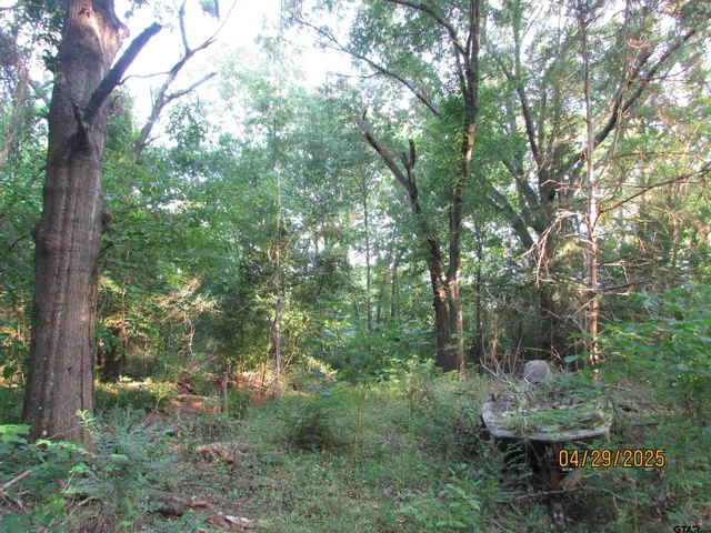 $100,000 | 0 Cr 4256 Henderson Tx 75654, Henderson, TX 75654