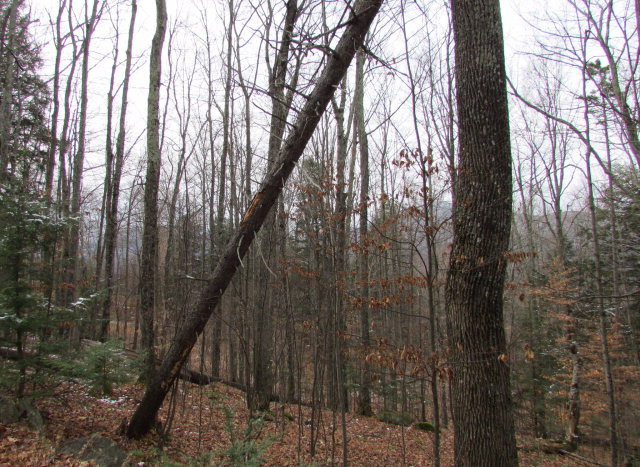 0 Groome Road Keene Valley, NY 12943 - Photo 7 of 7 Gallery Image 7