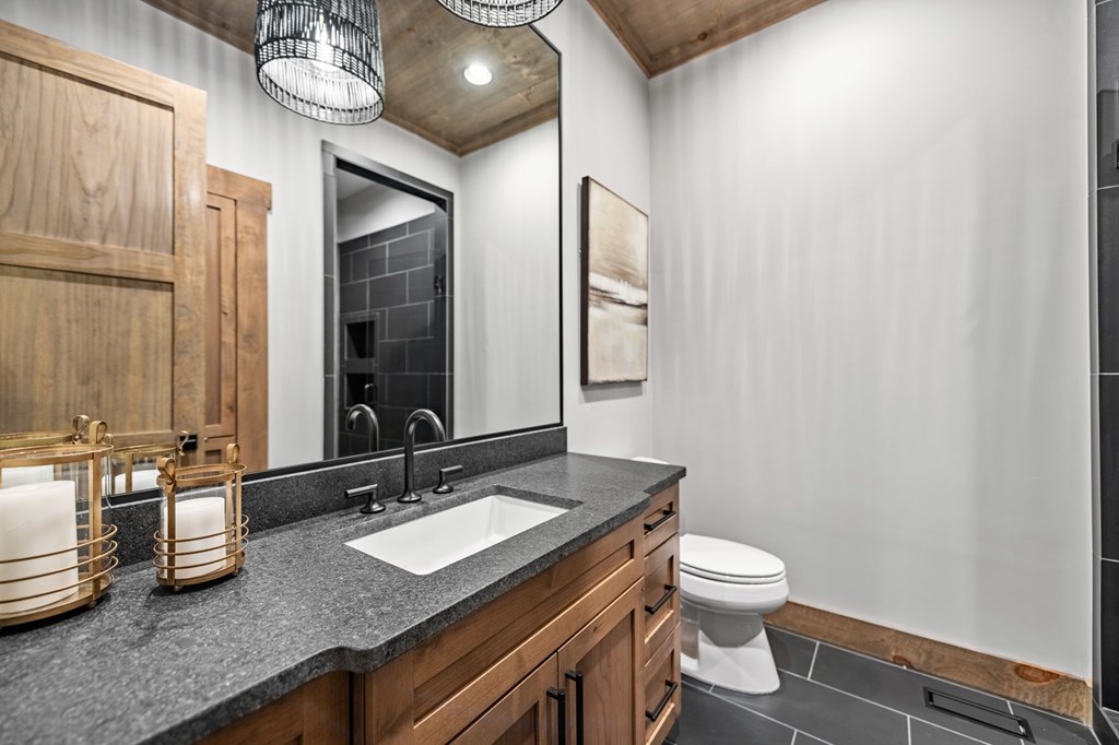 116 Round Top Road Mineral Bluff, GA 30559 - Photo 62 of 98 Gallery Image 62
