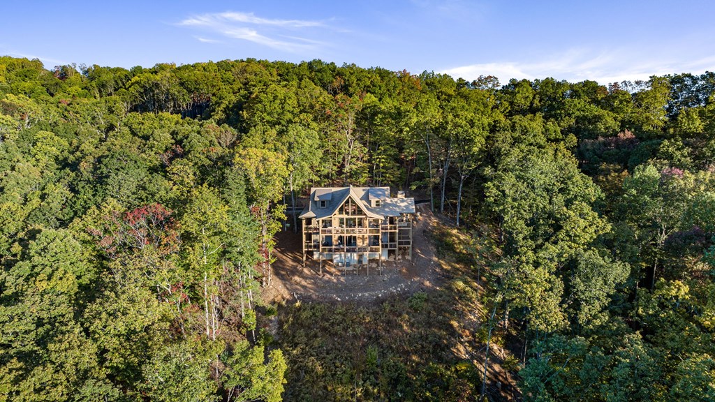 116 Round Top Road Mineral Bluff, GA 30559 - Photo 83 of 98 Gallery Image 83
