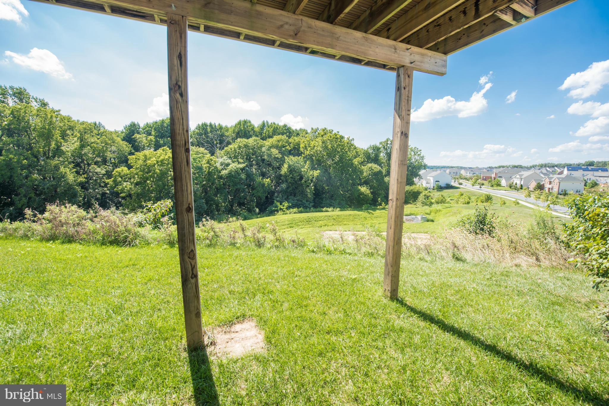 9601 Bothwell Lane Frederick, MD 21704 - Photo 14 of 30 Exterior (Rear)
