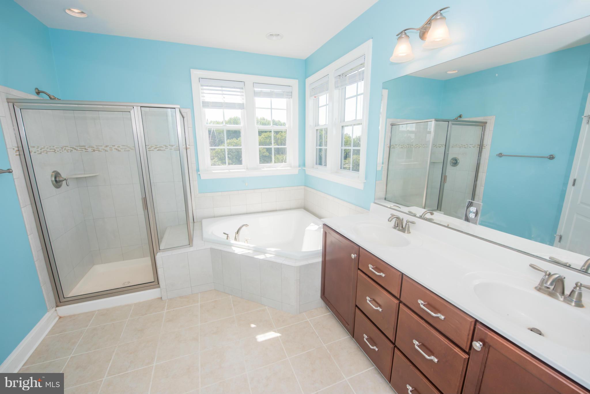 9601 Bothwell Lane Frederick, MD 21704 - Photo 19 of 30 Bath (Master)