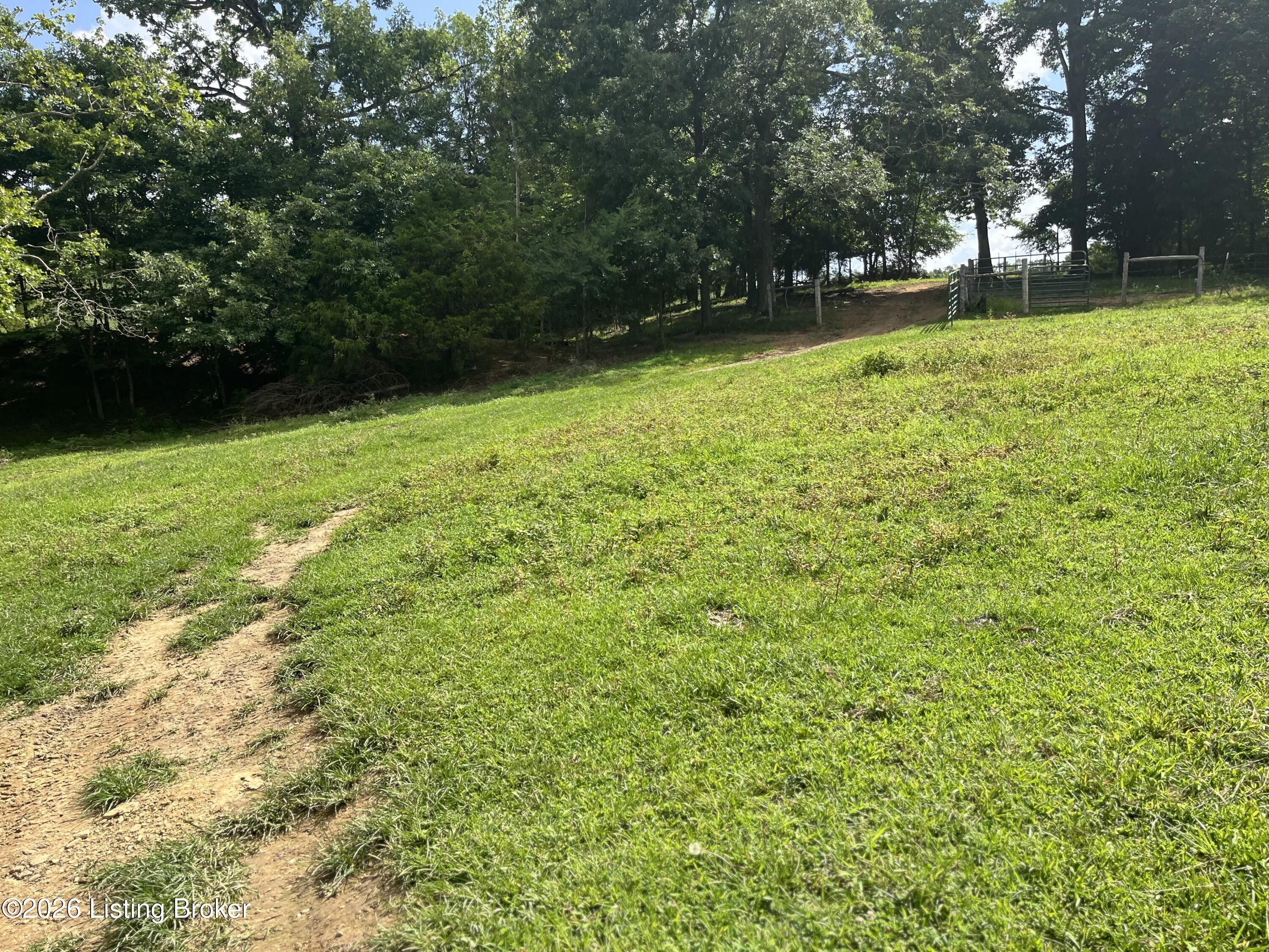 5545 Rabbit Flat Road Caneyville, KY 42721 - Photo 48 of 69 IMG_8148