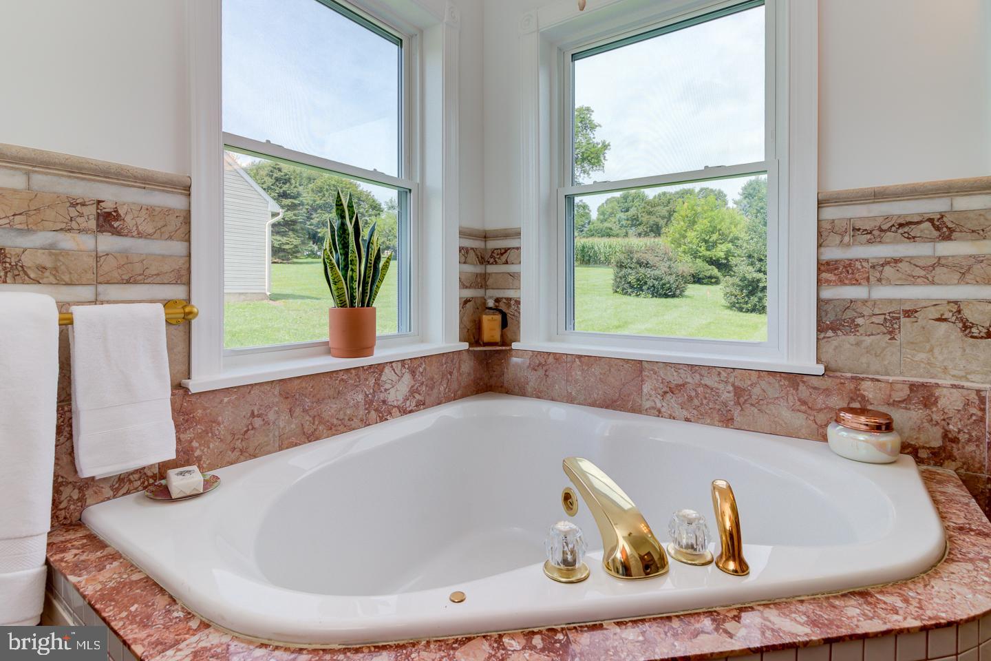 256 Kirks Mill Road Nottingham, PA 19362 - Photo 28 of 51 Primary ensuite soaking tub