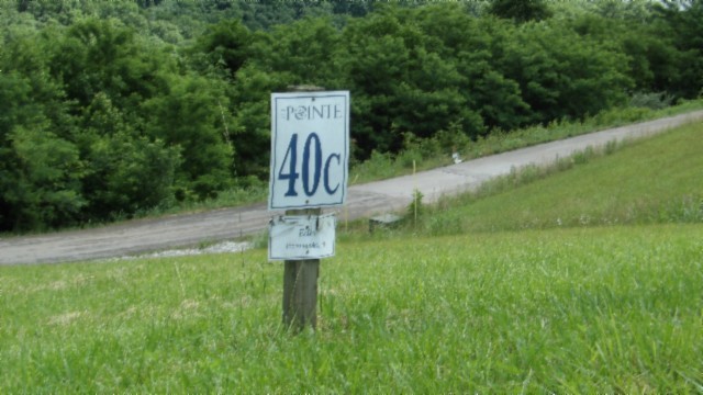 40 C Swan Ridge Road Celina, TN 38551 - Photo 2 of 31