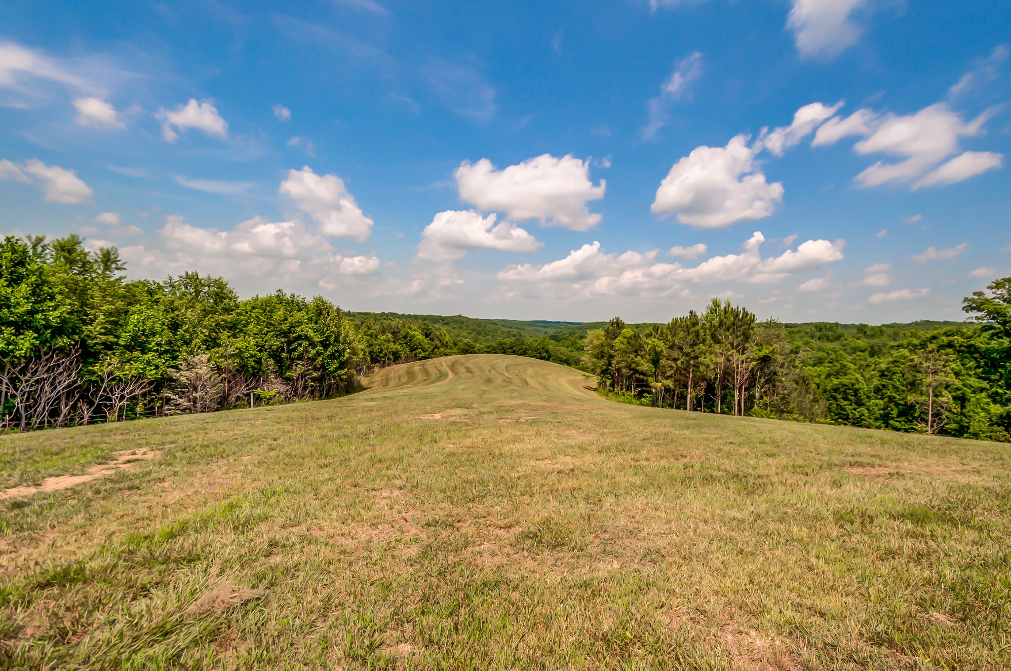 969 Walker Road Mount Pleasant, TN 38474 - Photo 25 of 50 Gallery Image 25