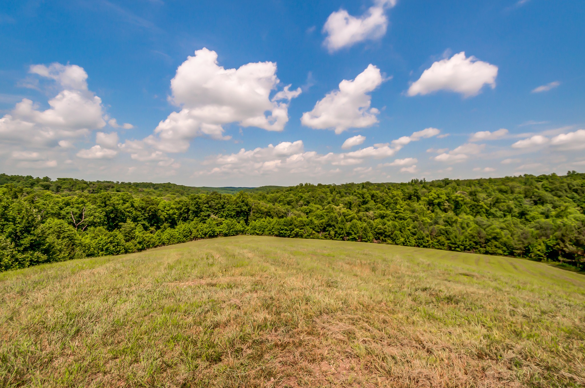 969 Walker Road Mount Pleasant, TN 38474 - Photo 26 of 50 Gallery Image 26
