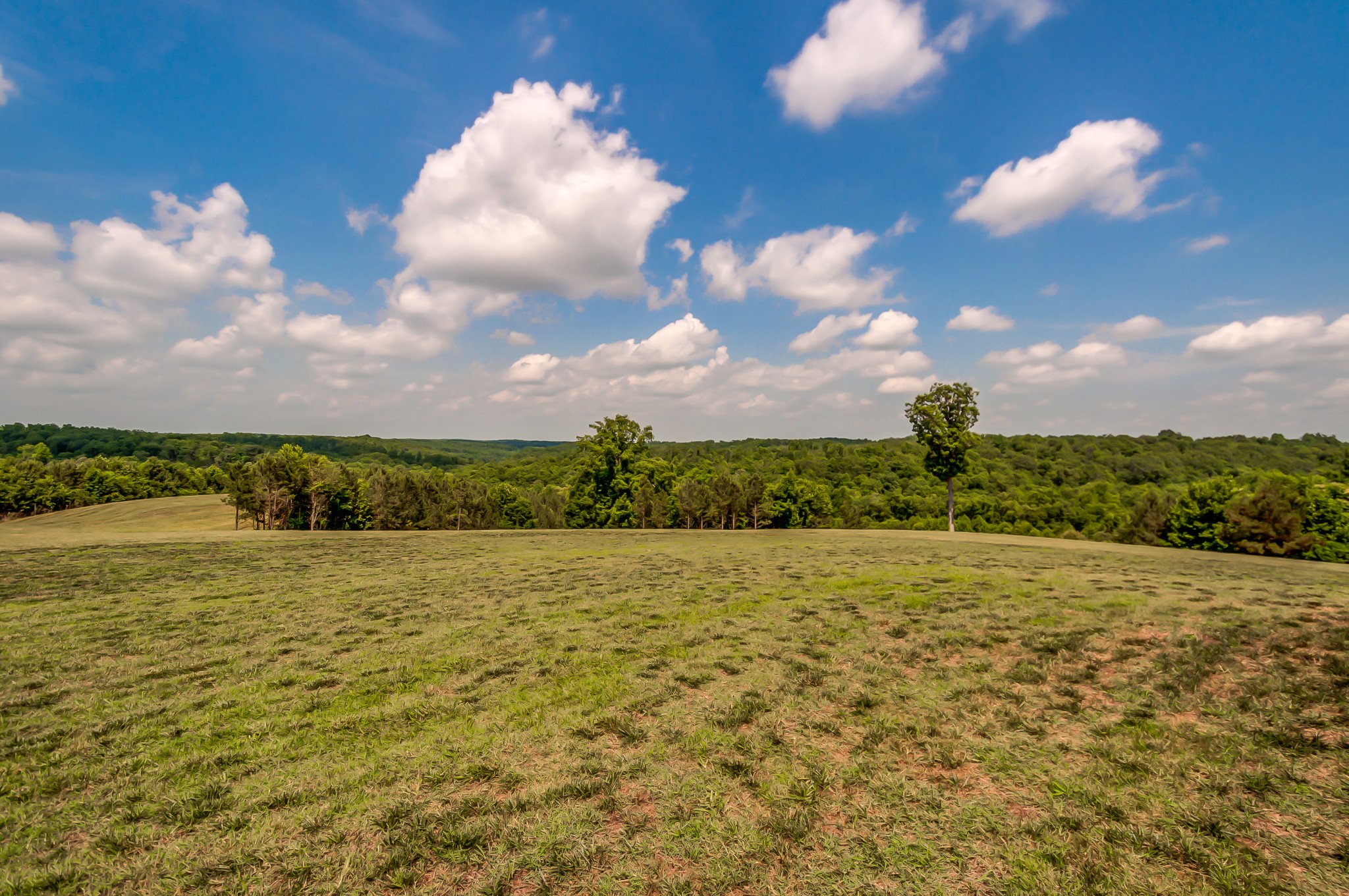 969 Walker Road Mount Pleasant, TN 38474 - Photo 27 of 50 Gallery Image 27