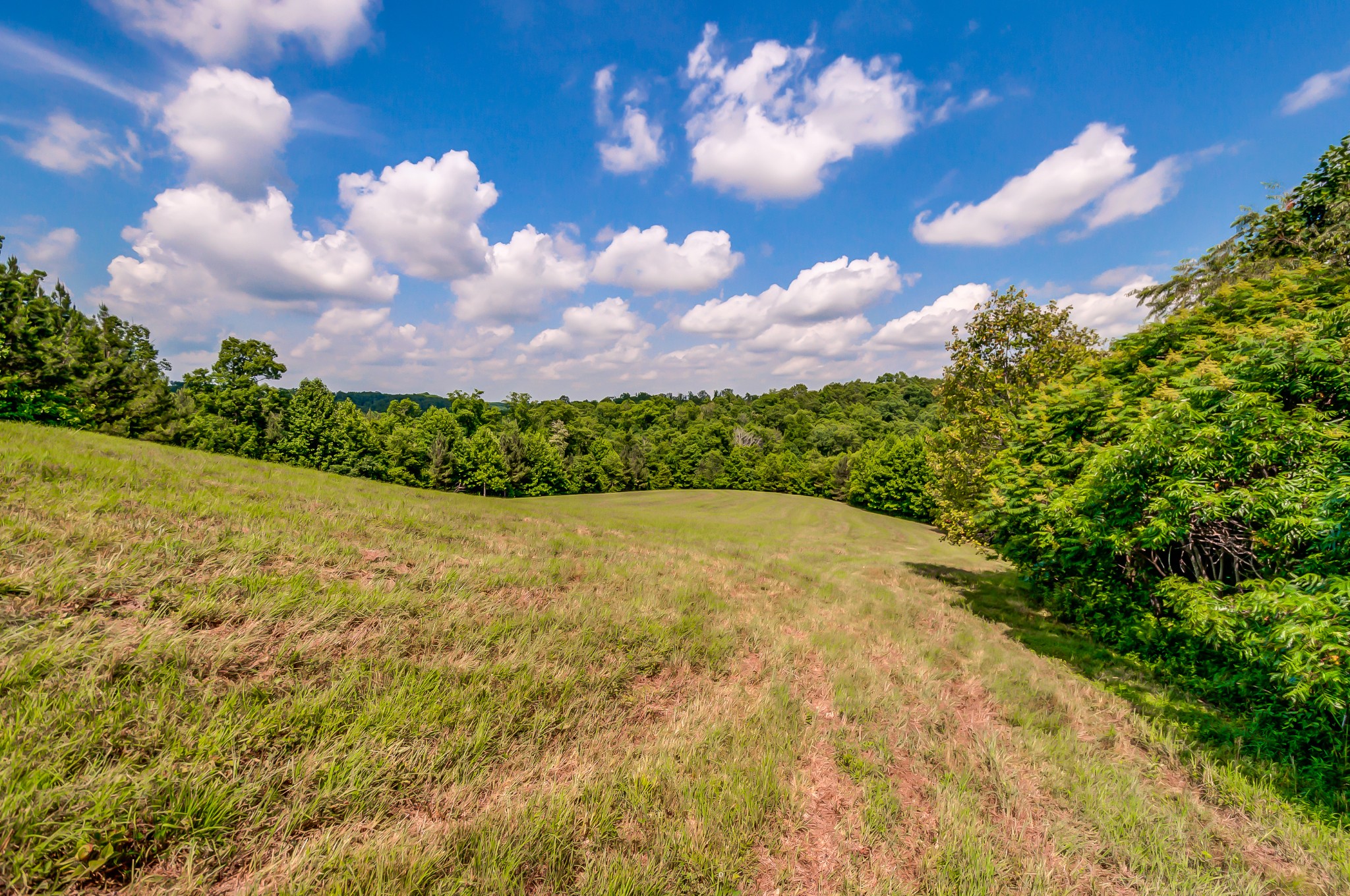 969 Walker Road Mount Pleasant, TN 38474 - Photo 28 of 50 Gallery Image 28