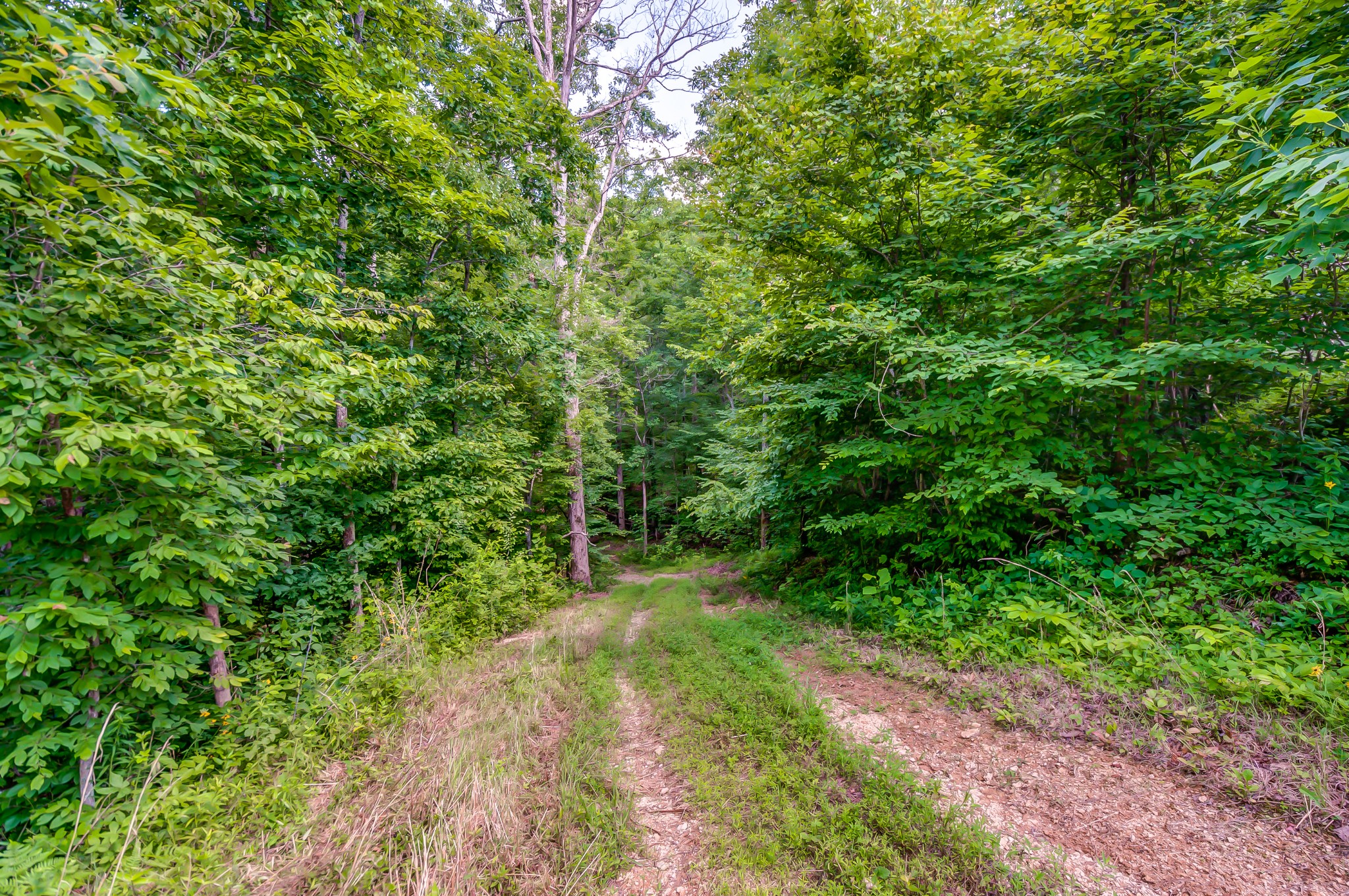 969 Walker Road Mount Pleasant, TN 38474 - Photo 29 of 50 Gallery Image 29