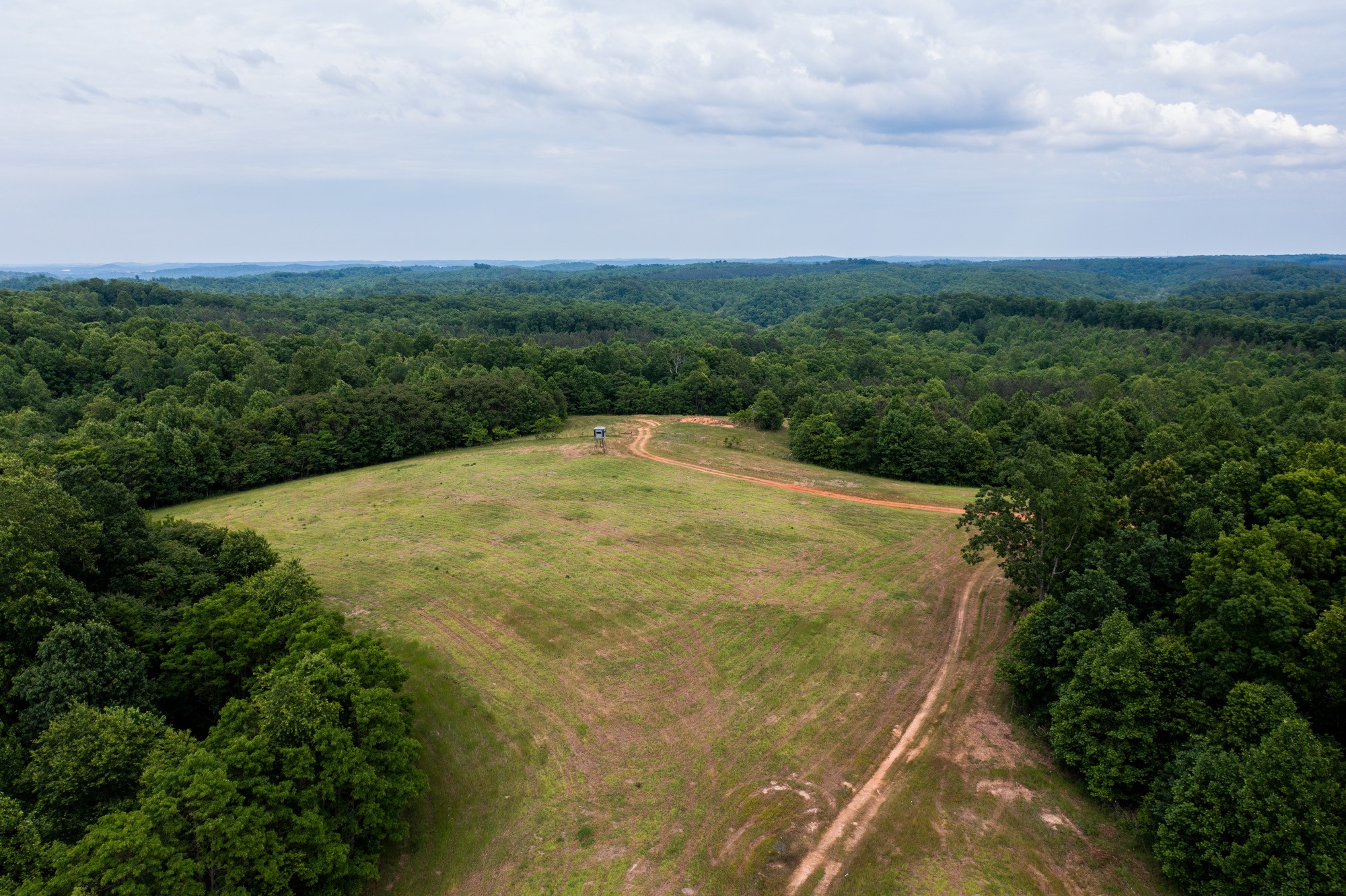 969 Walker Road Mount Pleasant, TN 38474 - Photo 4 of 50 Gallery Image 4