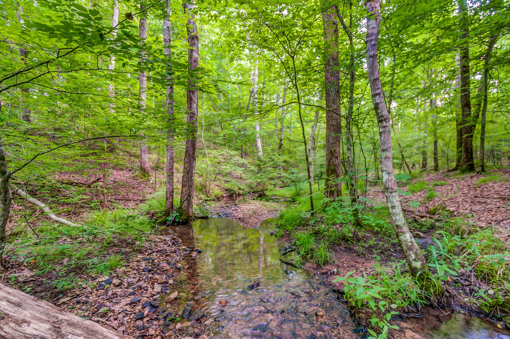 969 Walker Road Mount Pleasant, TN 38474 - Photo 31 of 50 Gallery Image 31