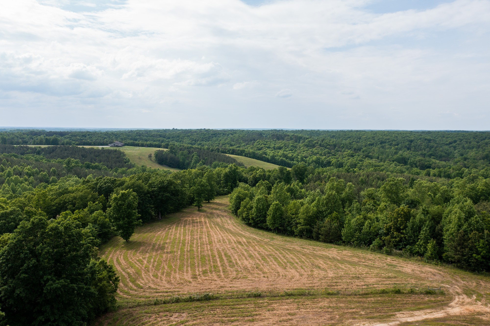 969 Walker Road Mount Pleasant, TN 38474 - Photo 33 of 50 Gallery Image 33