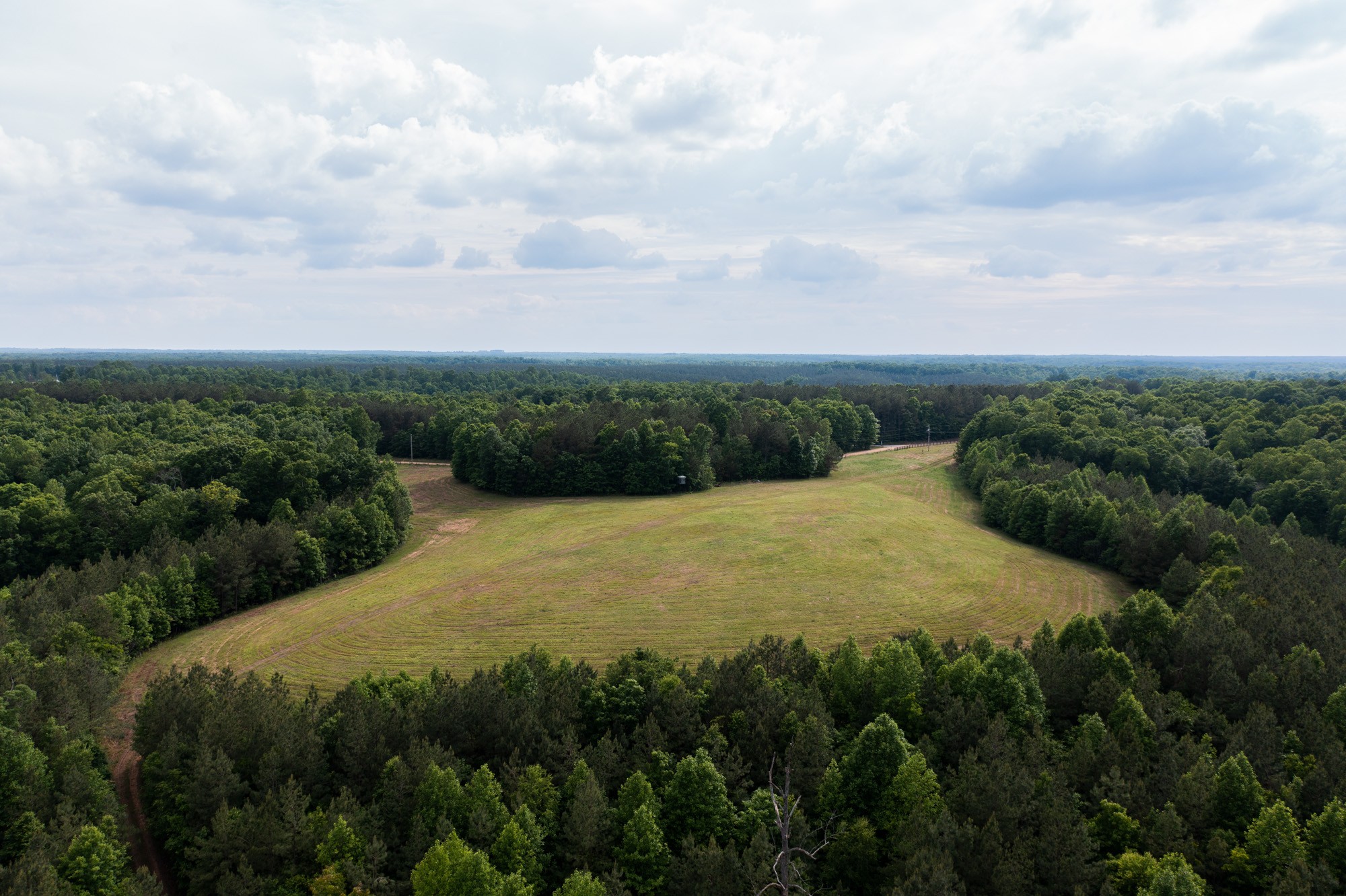 969 Walker Road Mount Pleasant, TN 38474 - Photo 34 of 50 Gallery Image 34