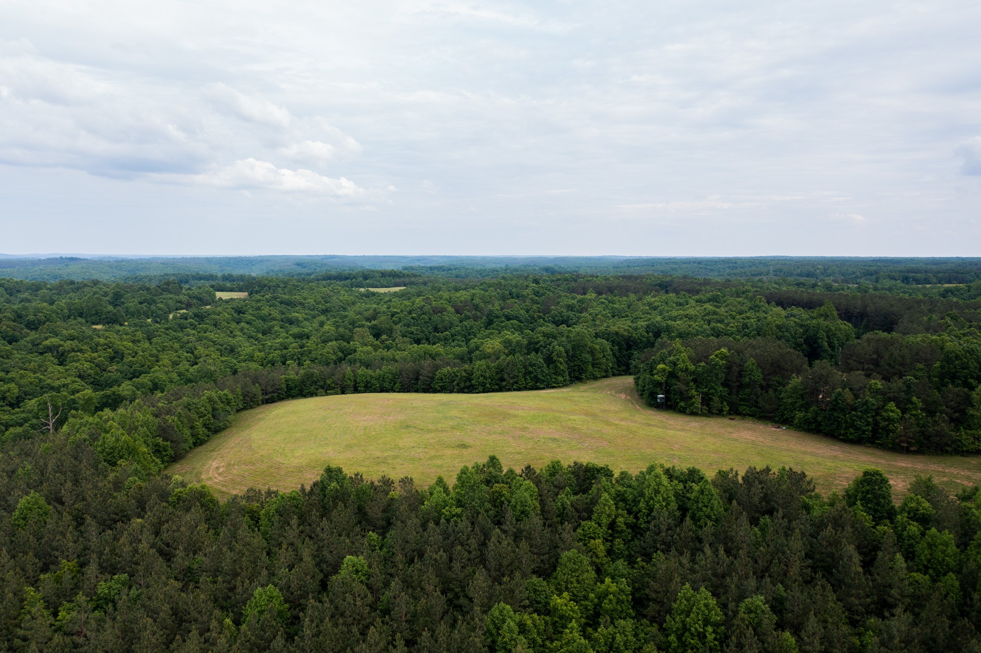 969 Walker Road Mount Pleasant, TN 38474 - Photo 35 of 50 Gallery Image 35