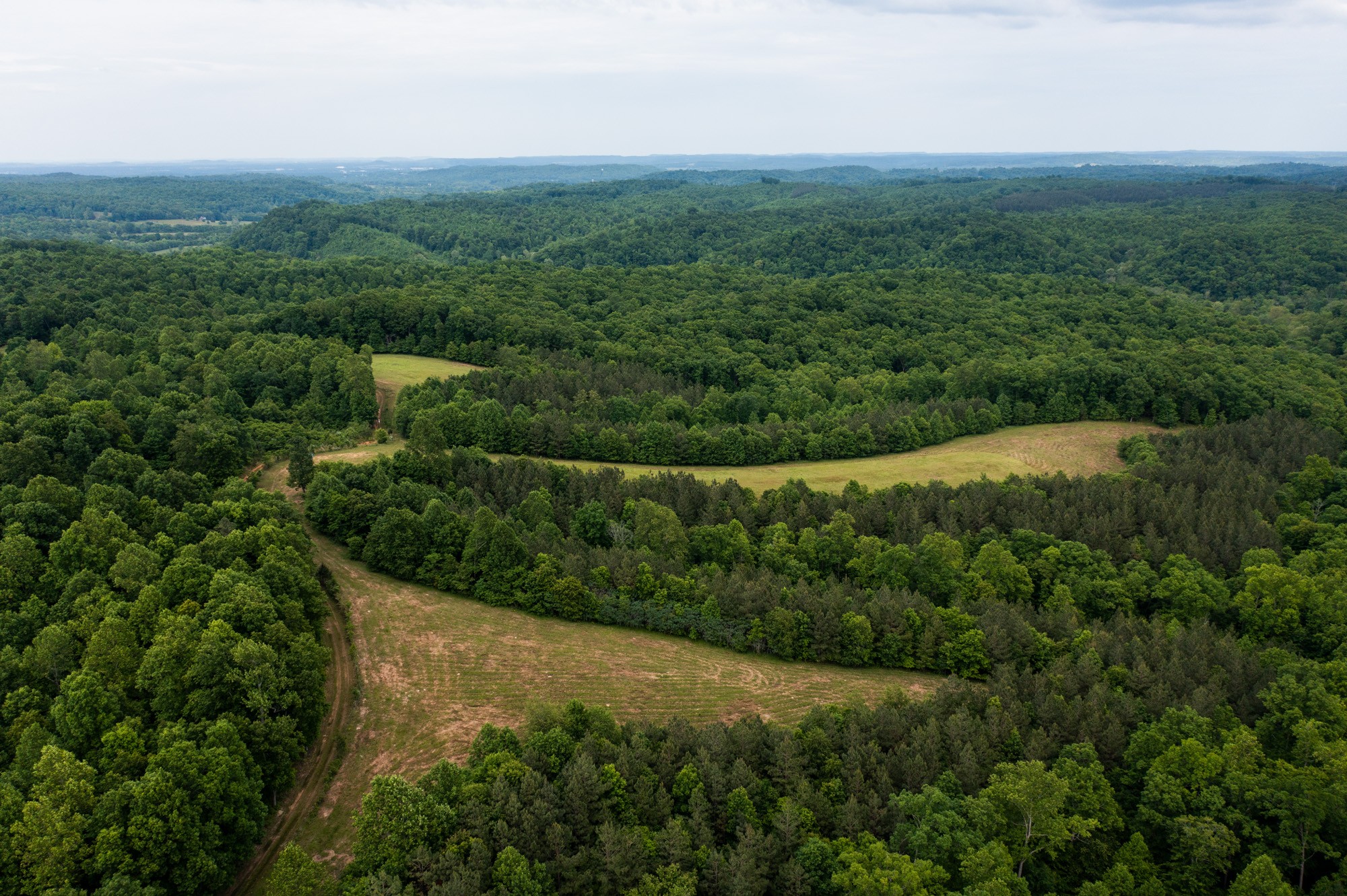 969 Walker Road Mount Pleasant, TN 38474 - Photo 36 of 50 Gallery Image 36