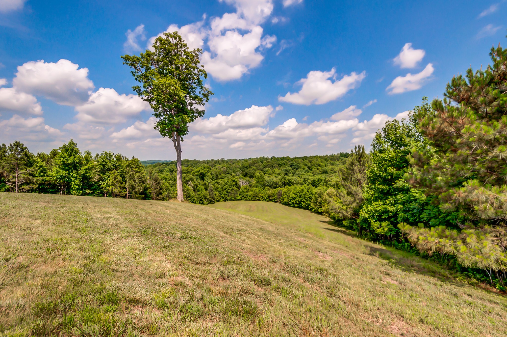 969 Walker Road Mount Pleasant, TN 38474 - Photo 5 of 50 Gallery Image 5